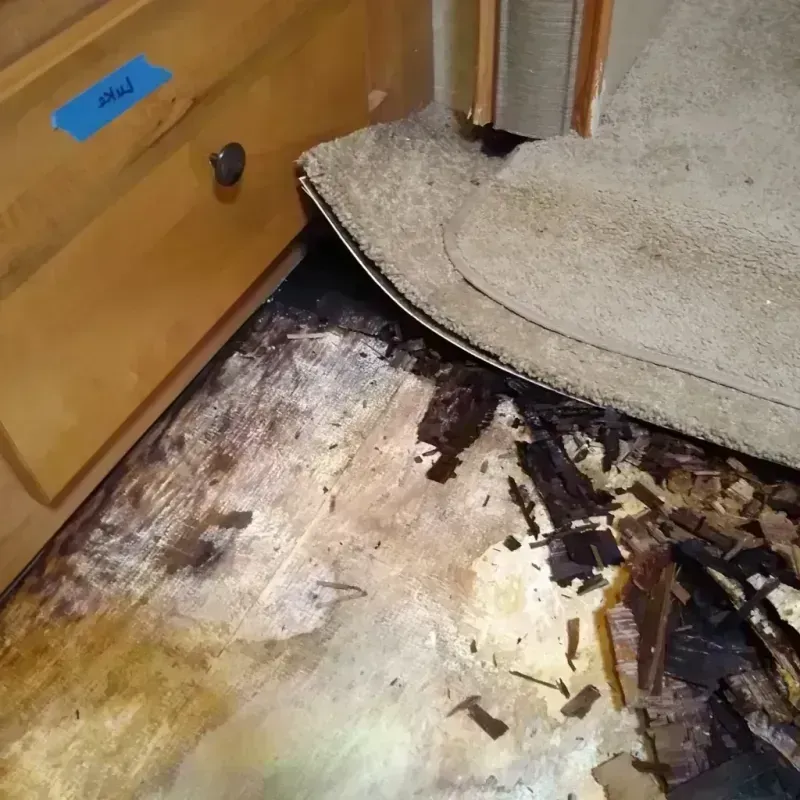 Wood Floor Water Damage in Porter County, IN